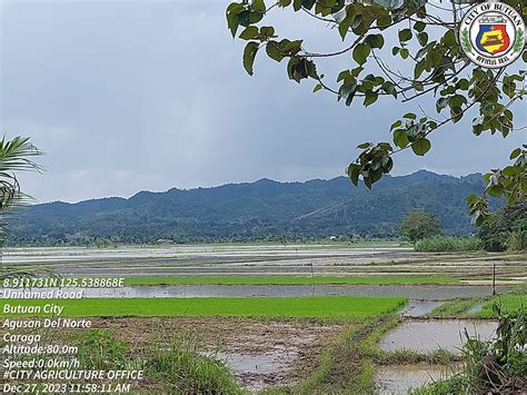 department of agriculture butuan city